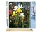 Figured'Art Paint by Numbers Kit for Adults Colorful field of Flowers 16"x20" - Craft Art Painting Rolled Canvas with DIY wooden frame